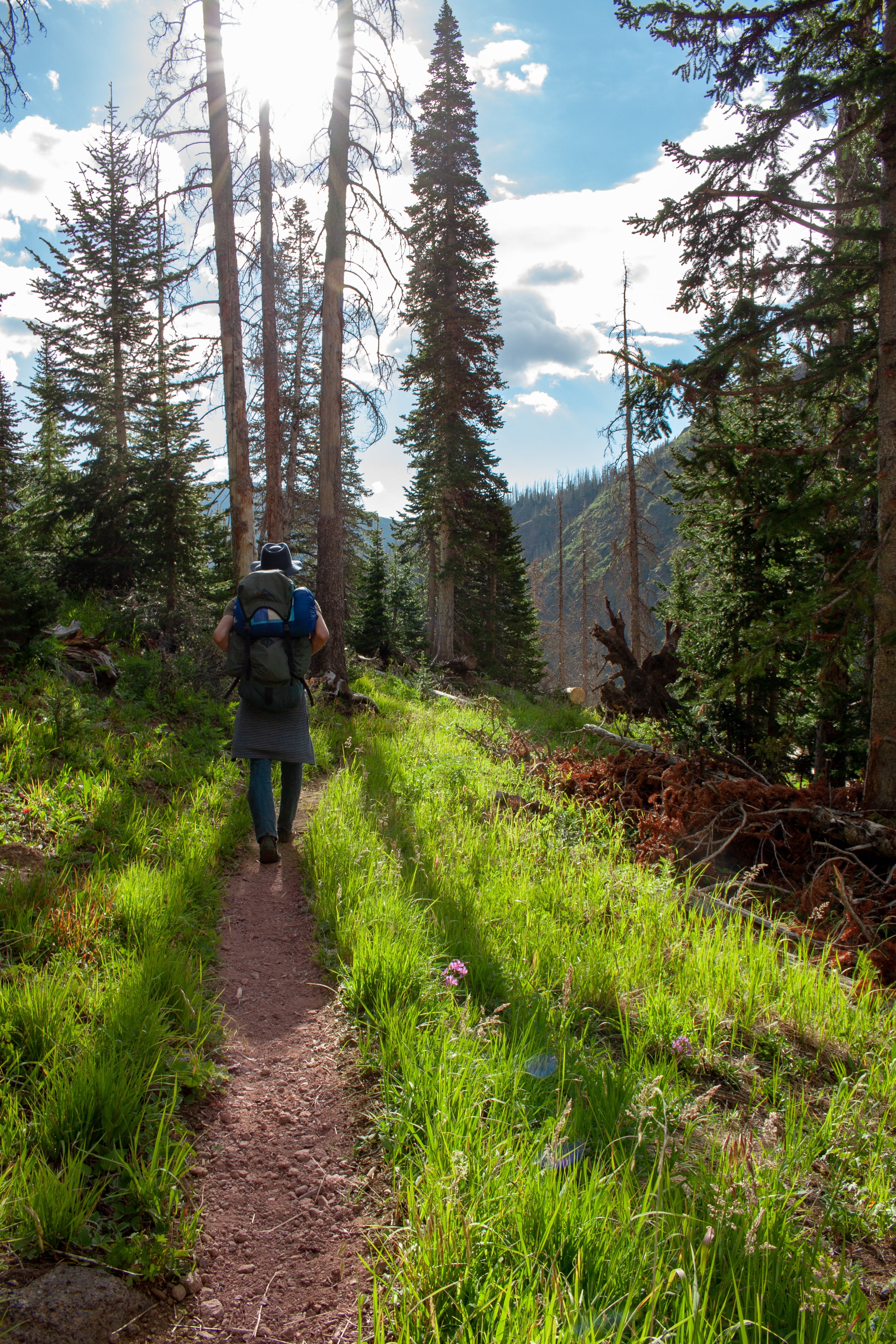 a hiker on a trail