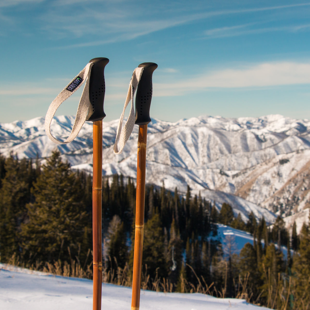 Bamboo Ski Poles