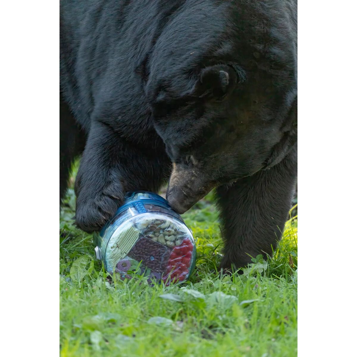 BV ONE™ Adjustable Bear Canister