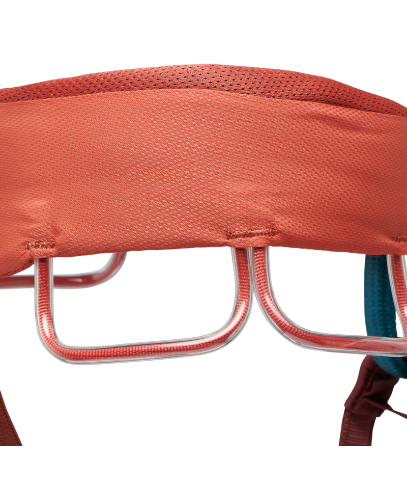 W's Momentum Harness
