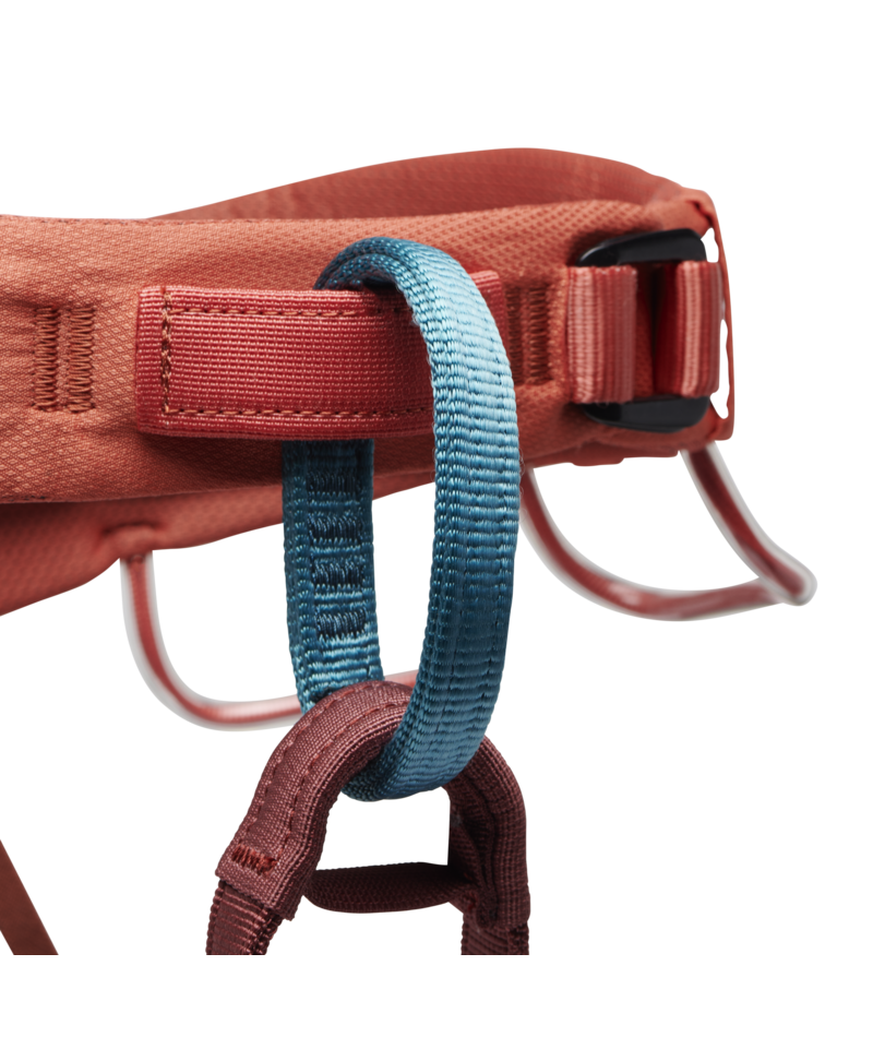 W's Momentum Harness