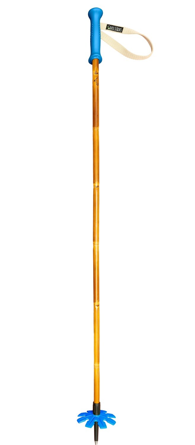 Bamboo Ski Poles