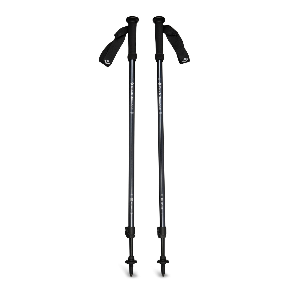 Explorer 2 Trekking Pole