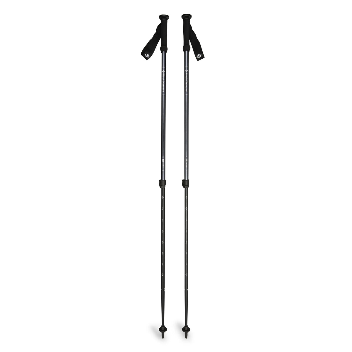 Explorer 2 Trekking Pole