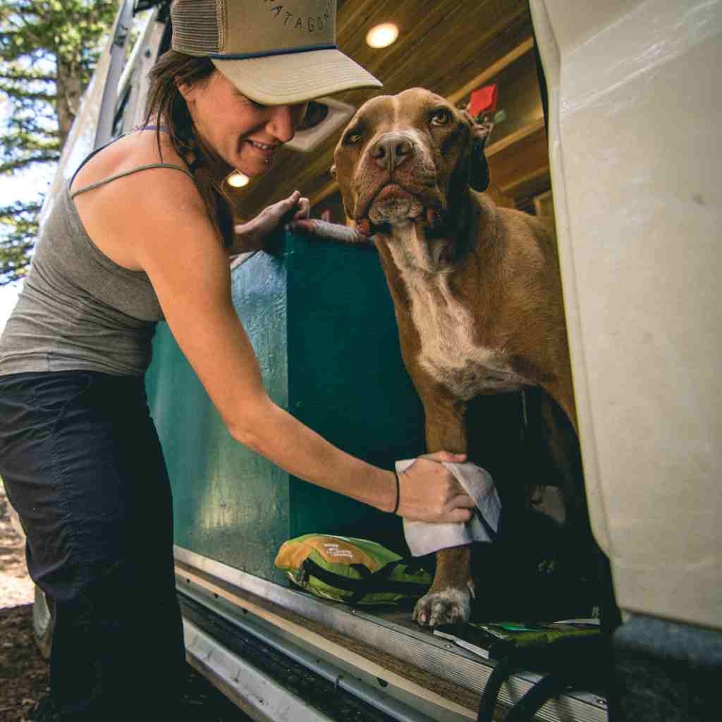 Adventure Dog Wipes