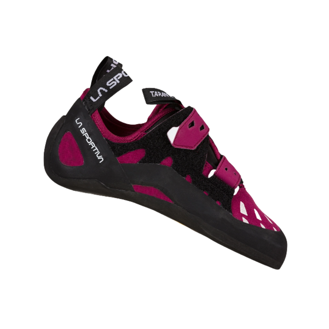W's Tarantula – Basecamp